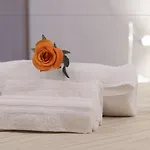 Domus Il Palio 3*