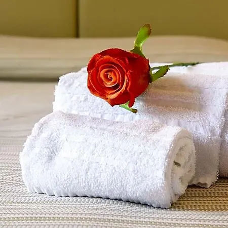 Domus Il Palio Bed and Breakfast Σιένα